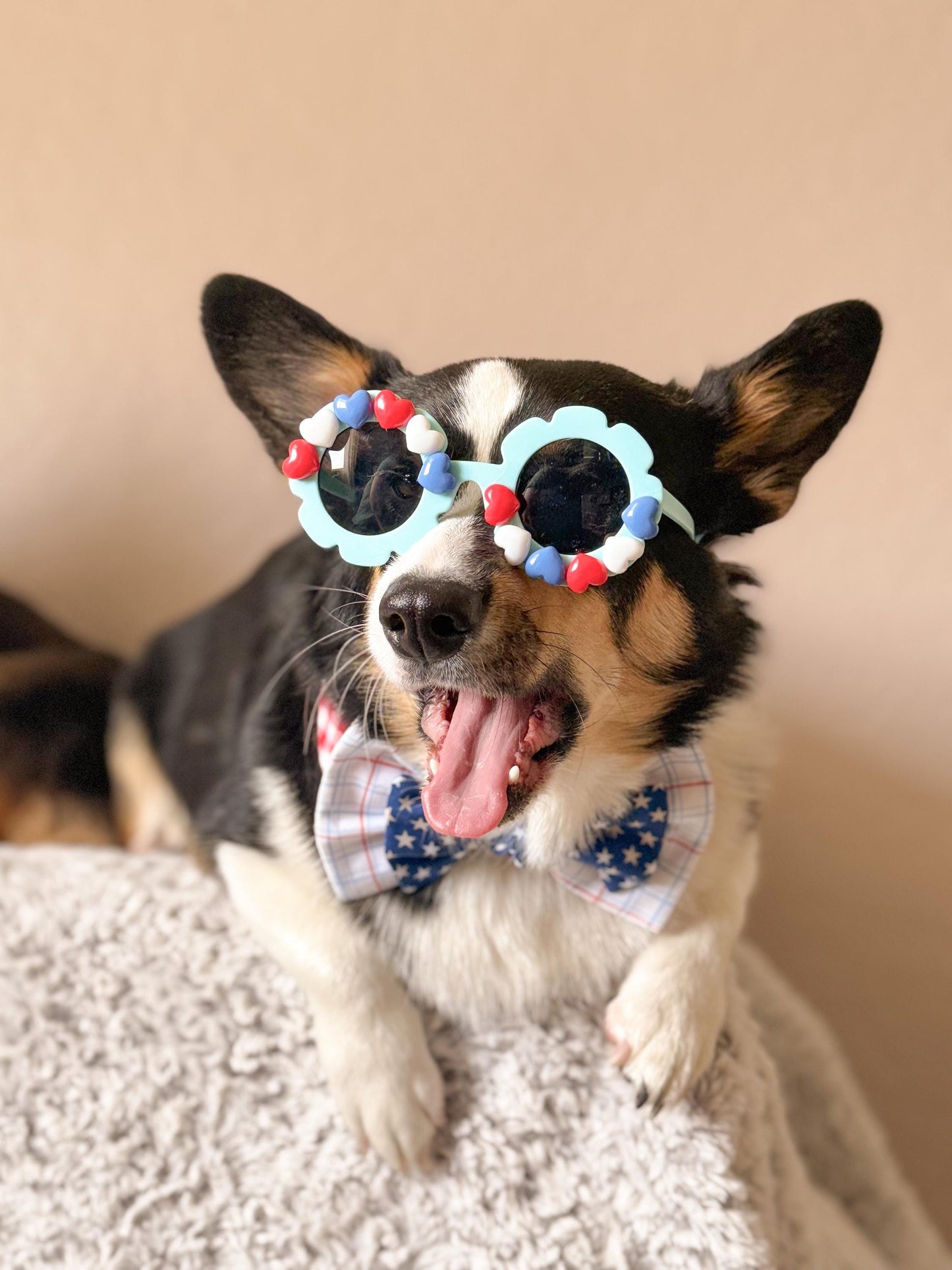 Heartland Shades – Patriotic Pup Sunglasses