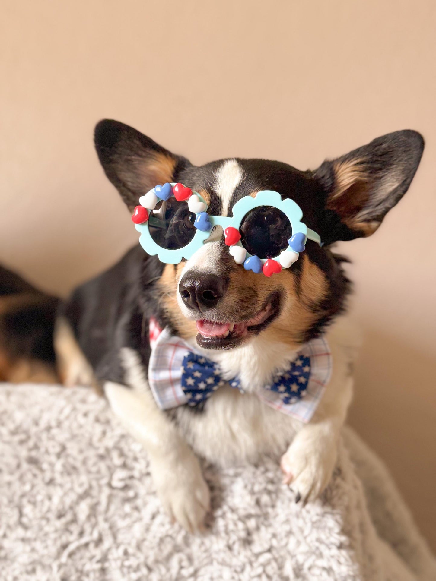 Heartland Shades – Patriotic Pup Sunglasses
