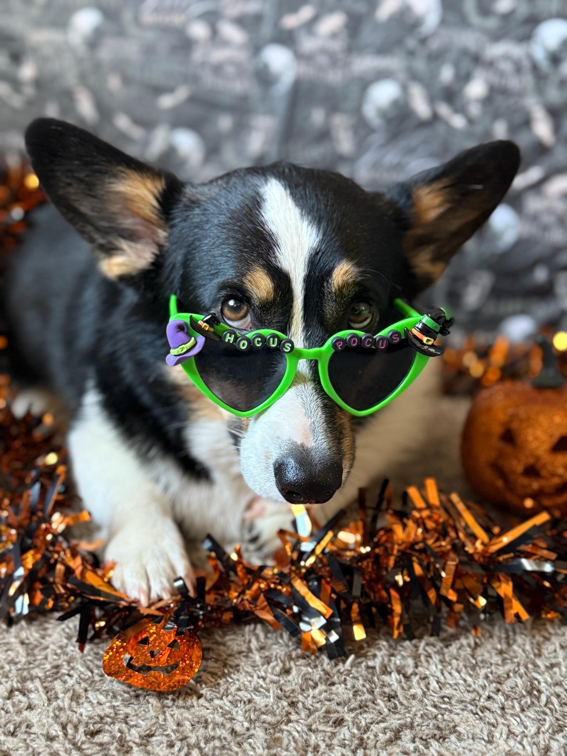 Hocus Pocus Sunglasses