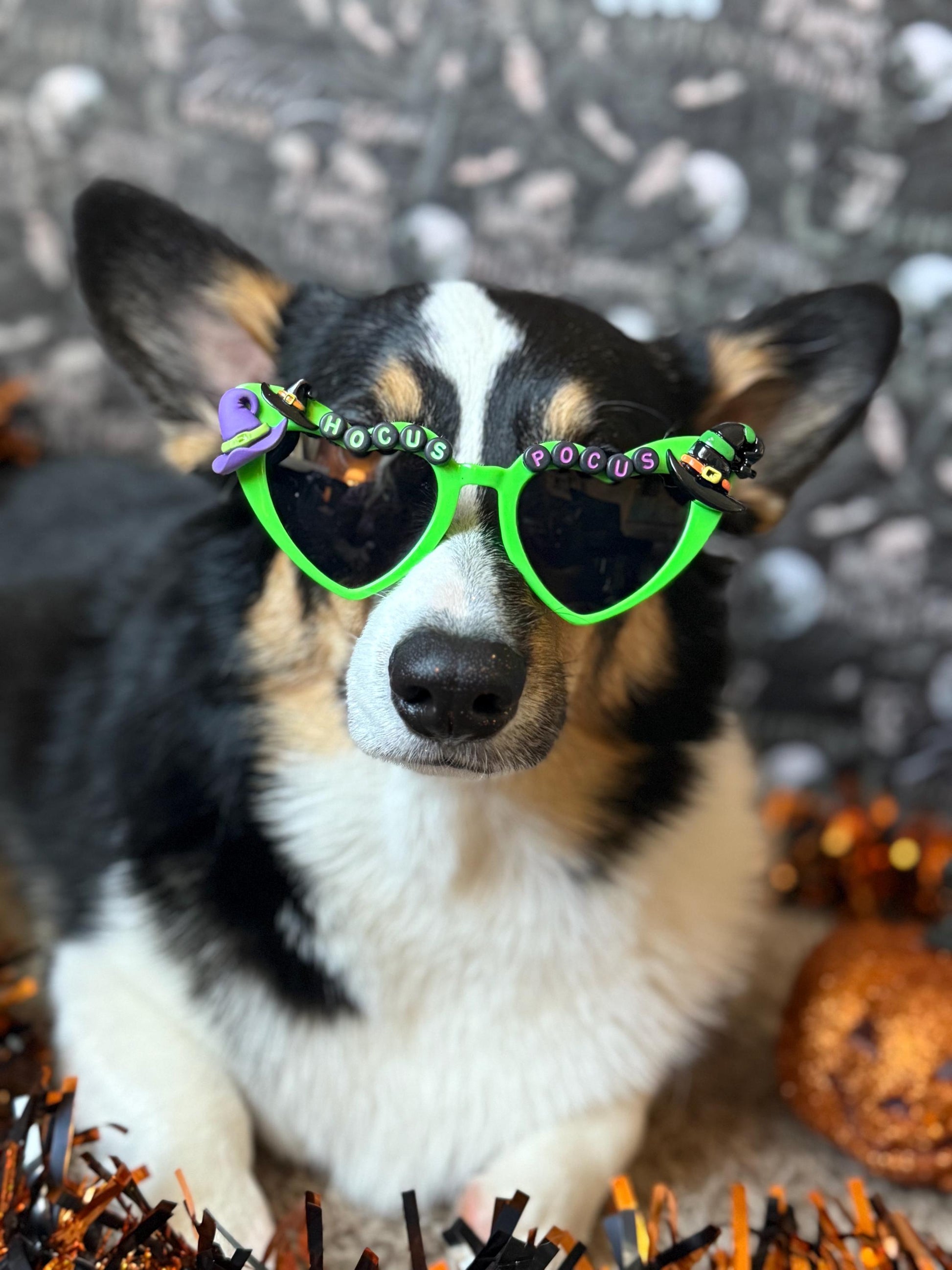 Hocus Pocus Sunglasses