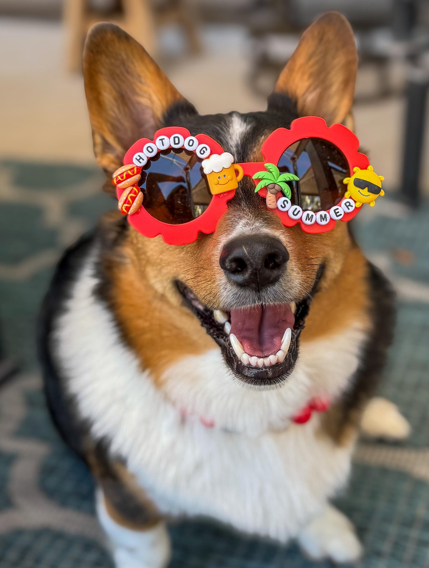 Hotdog Summer Sunglasses