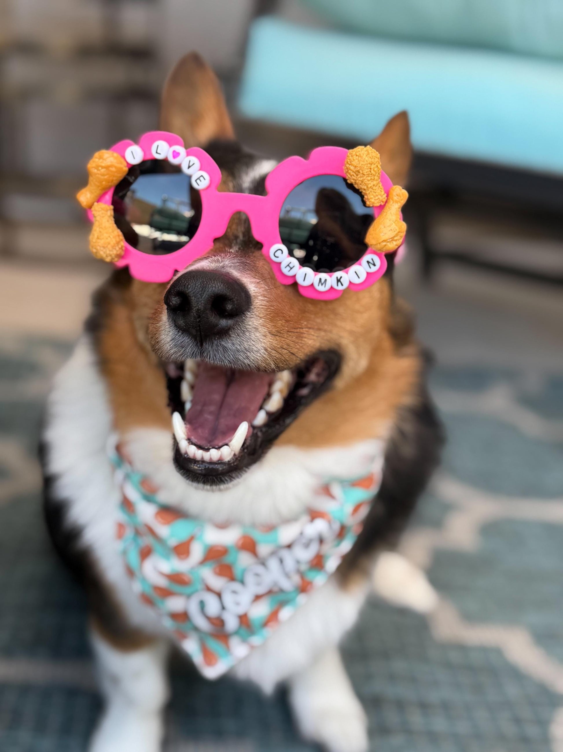 I Love Chimkin Sunglasses