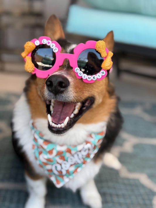 I Love Chimkin Sunglasses