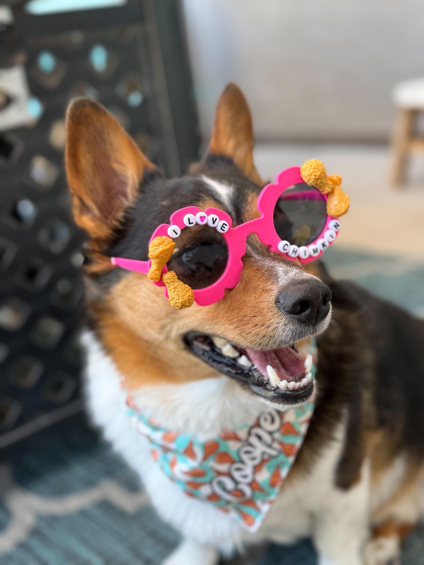 I Love Chimkin Sunglasses