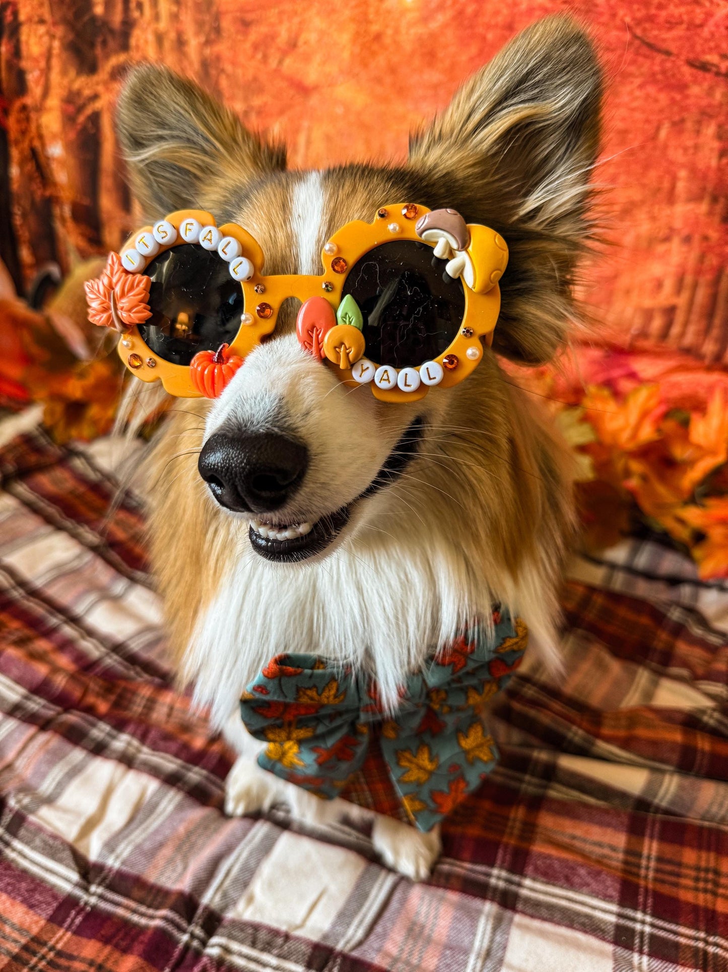 It’s Fall Y’all Sunglasses