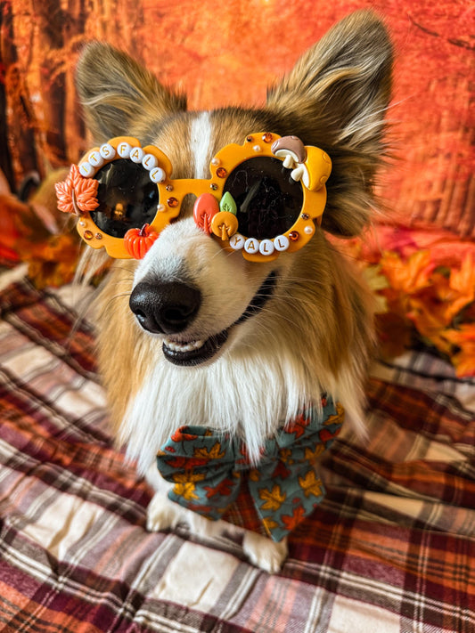 It’s Fall Y’all Sunglasses