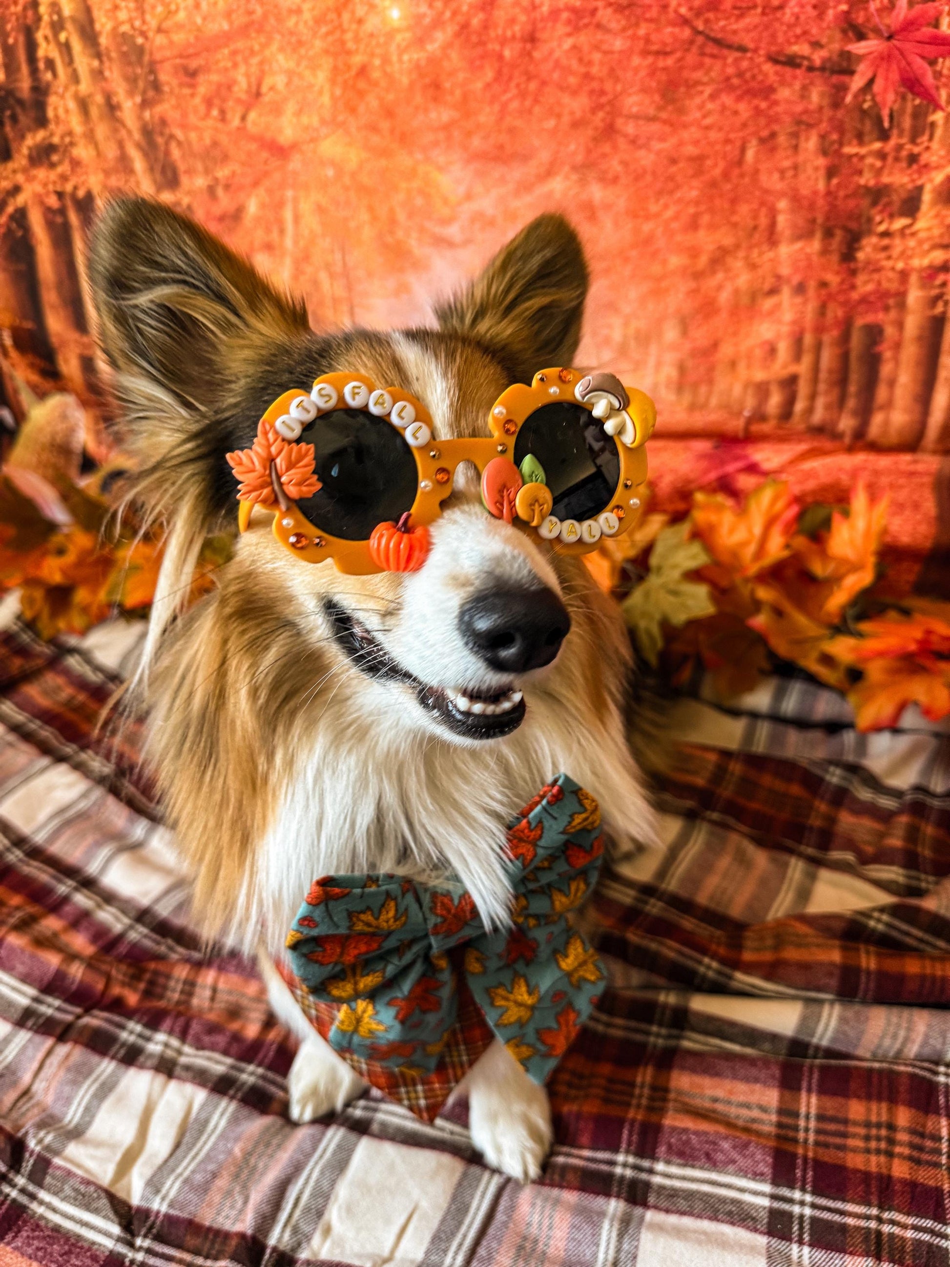 It’s Fall Y’all Sunglasses