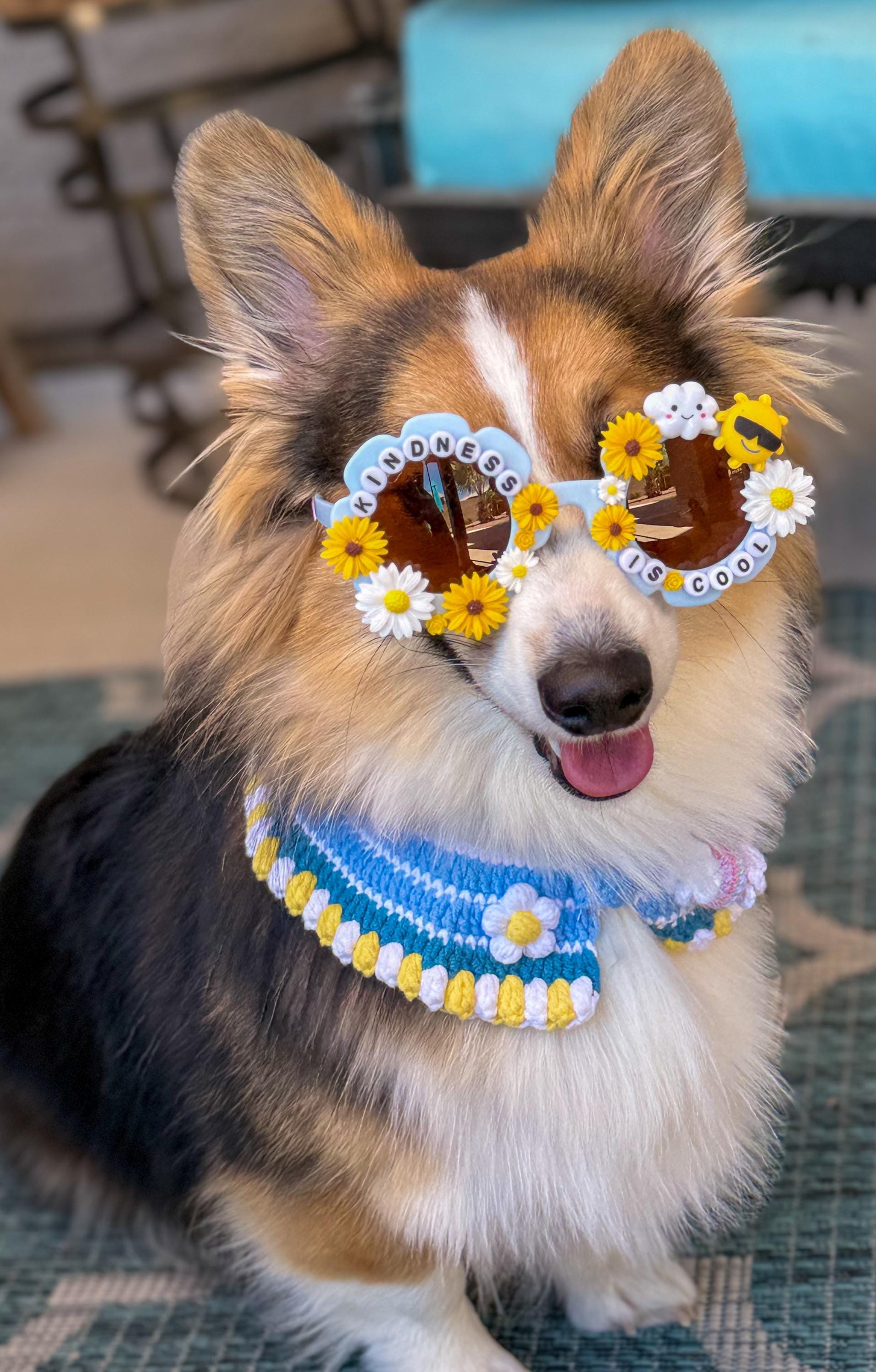 Kindness Dog Sunglasses with Daisies