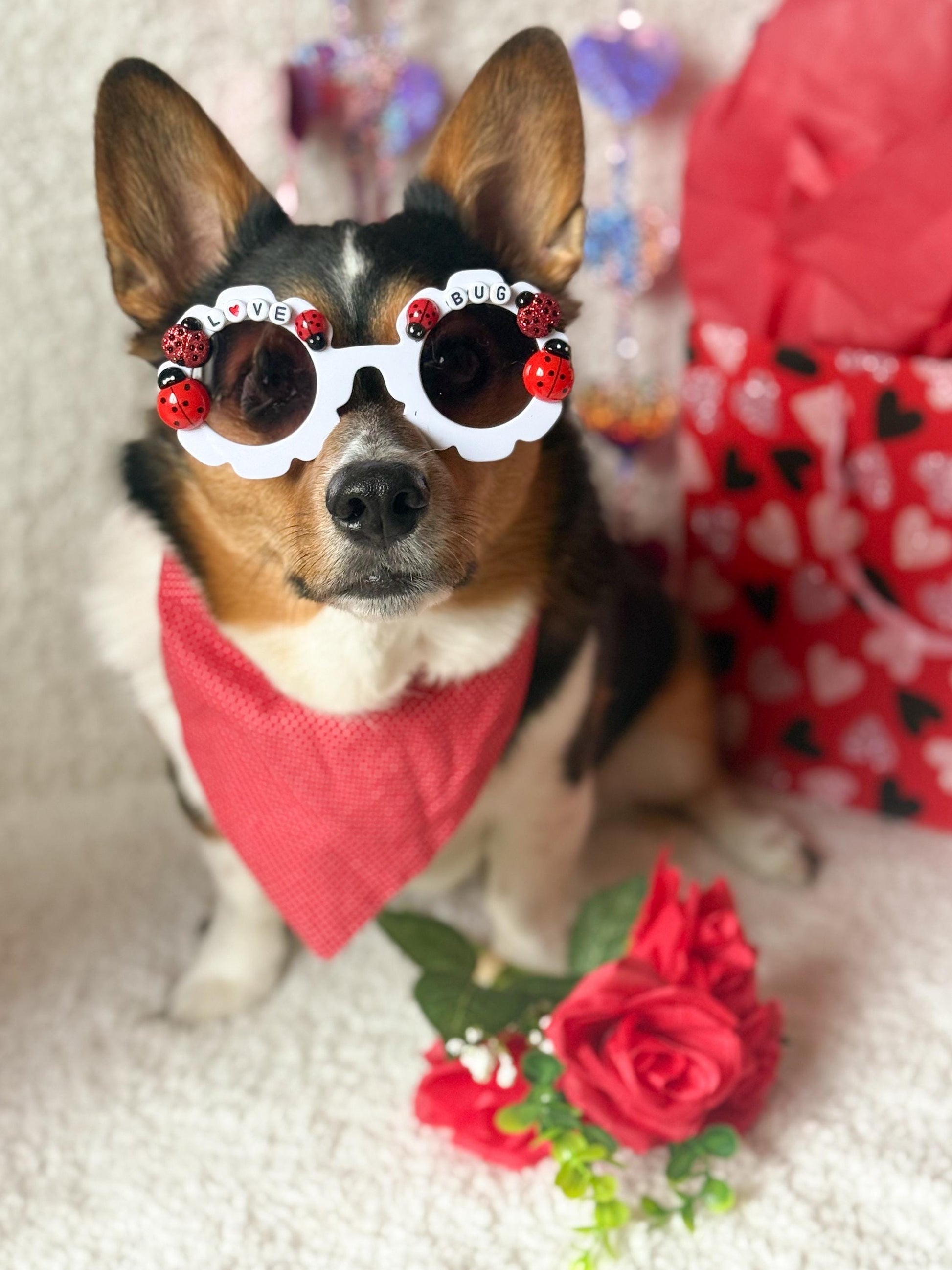 Love Bug Valentine’s Day Pet Sunglasses