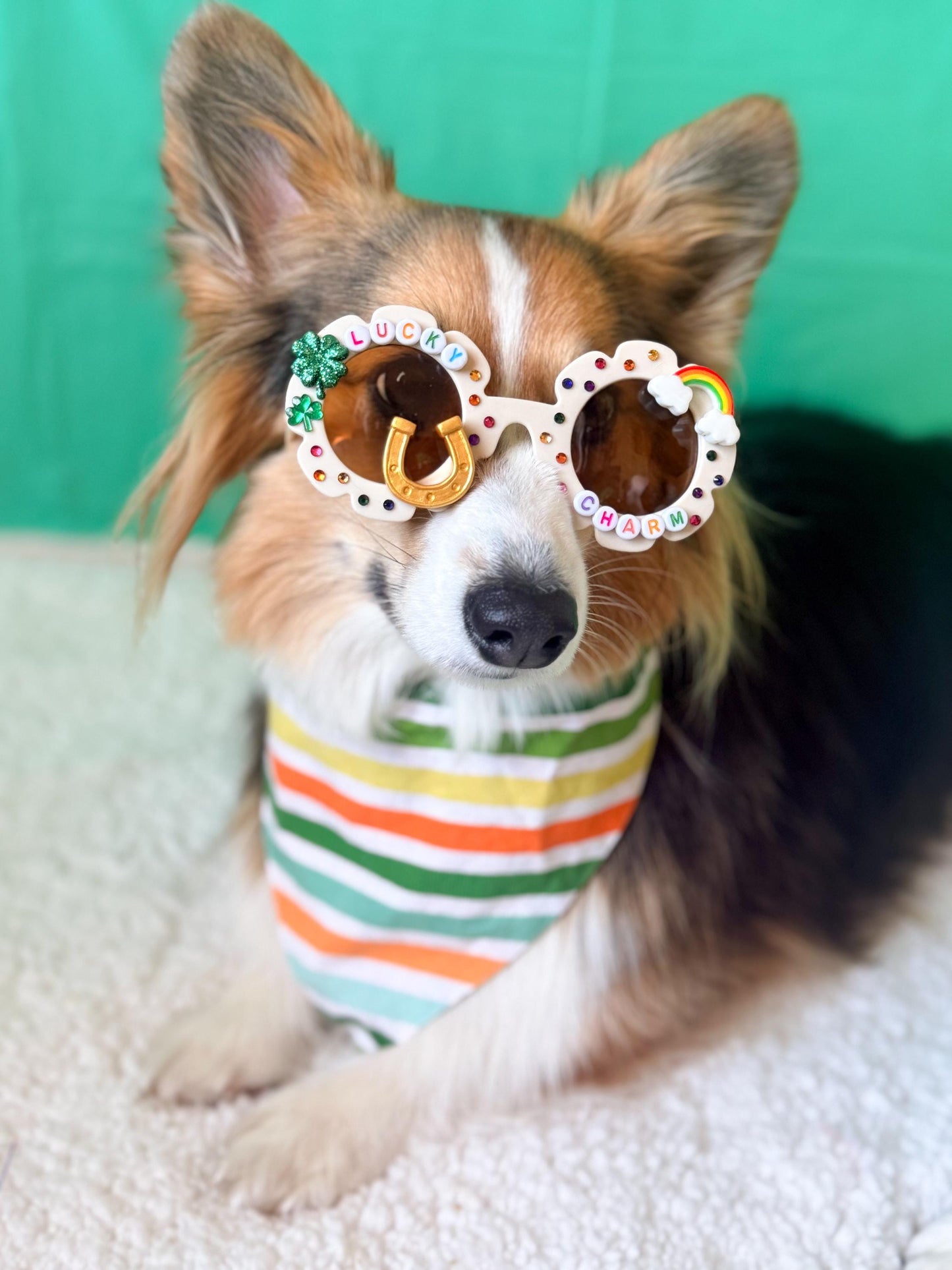 Lucky Charm Dog Sunglasses