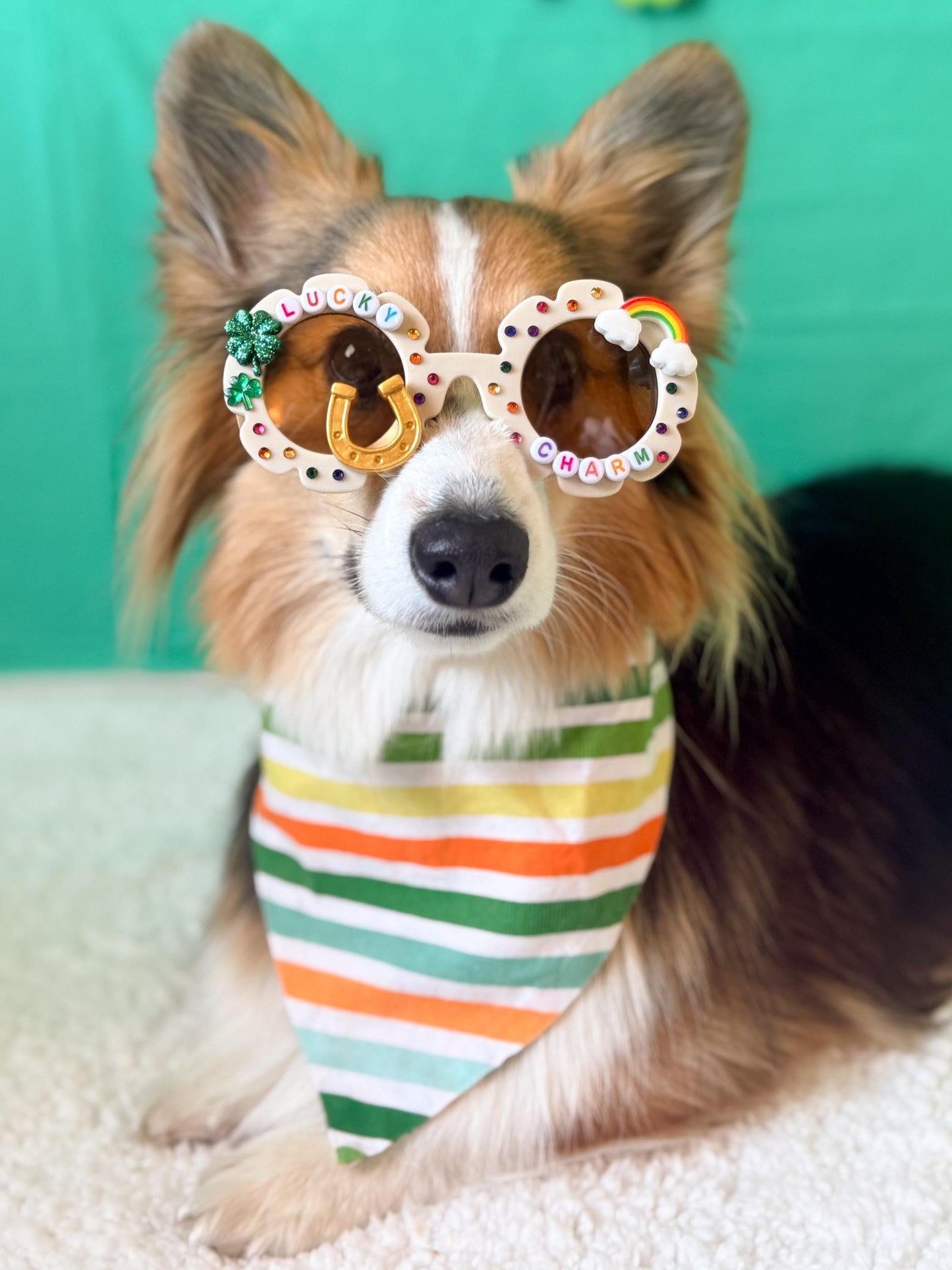 Lucky Charm Dog Sunglasses