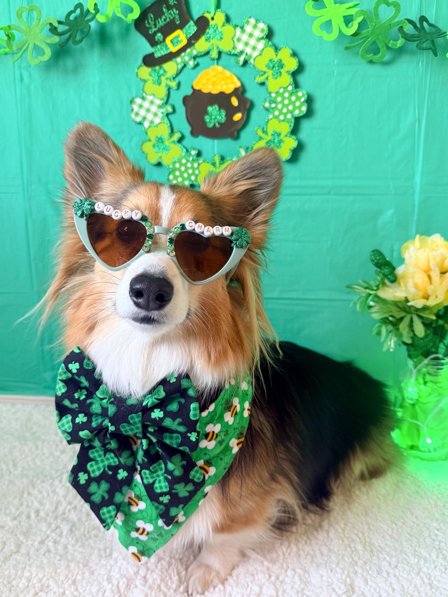 Lucky Charm Heart Dog Sunglasses