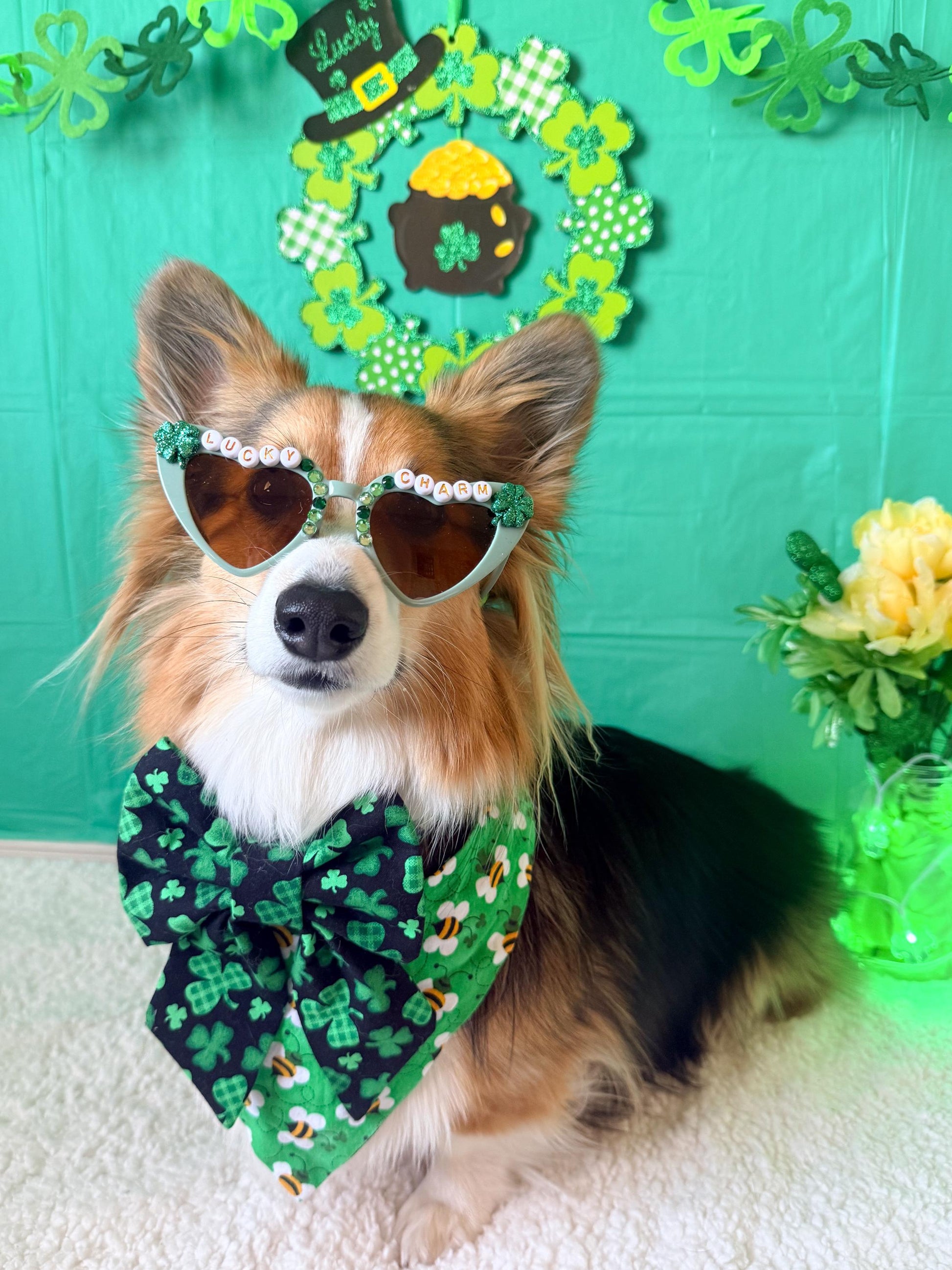 Lucky Charm Heart Dog Sunglasses