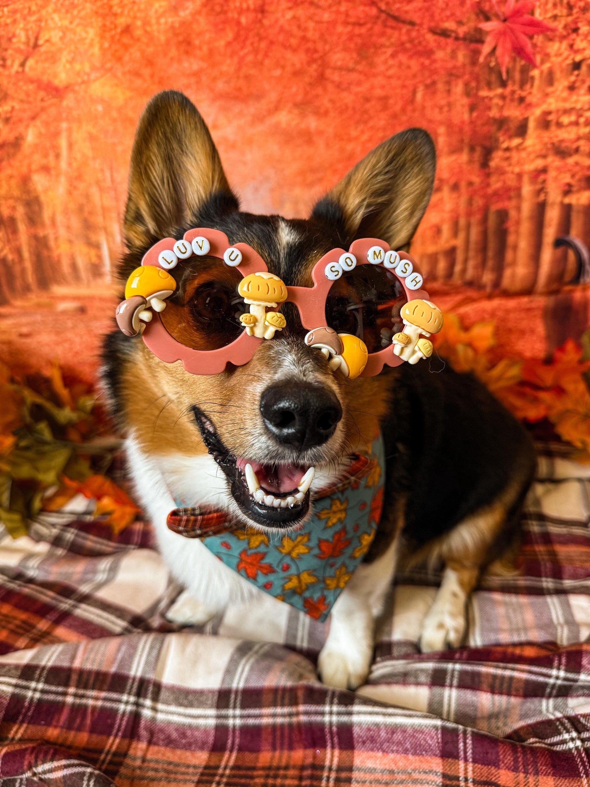 Luv U So Mush Sunglasses