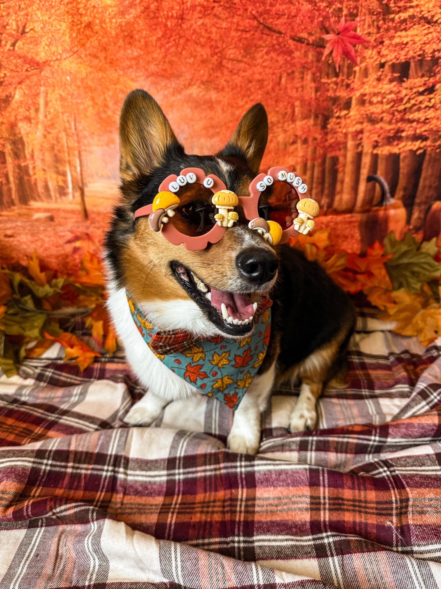 Luv U So Mush Sunglasses