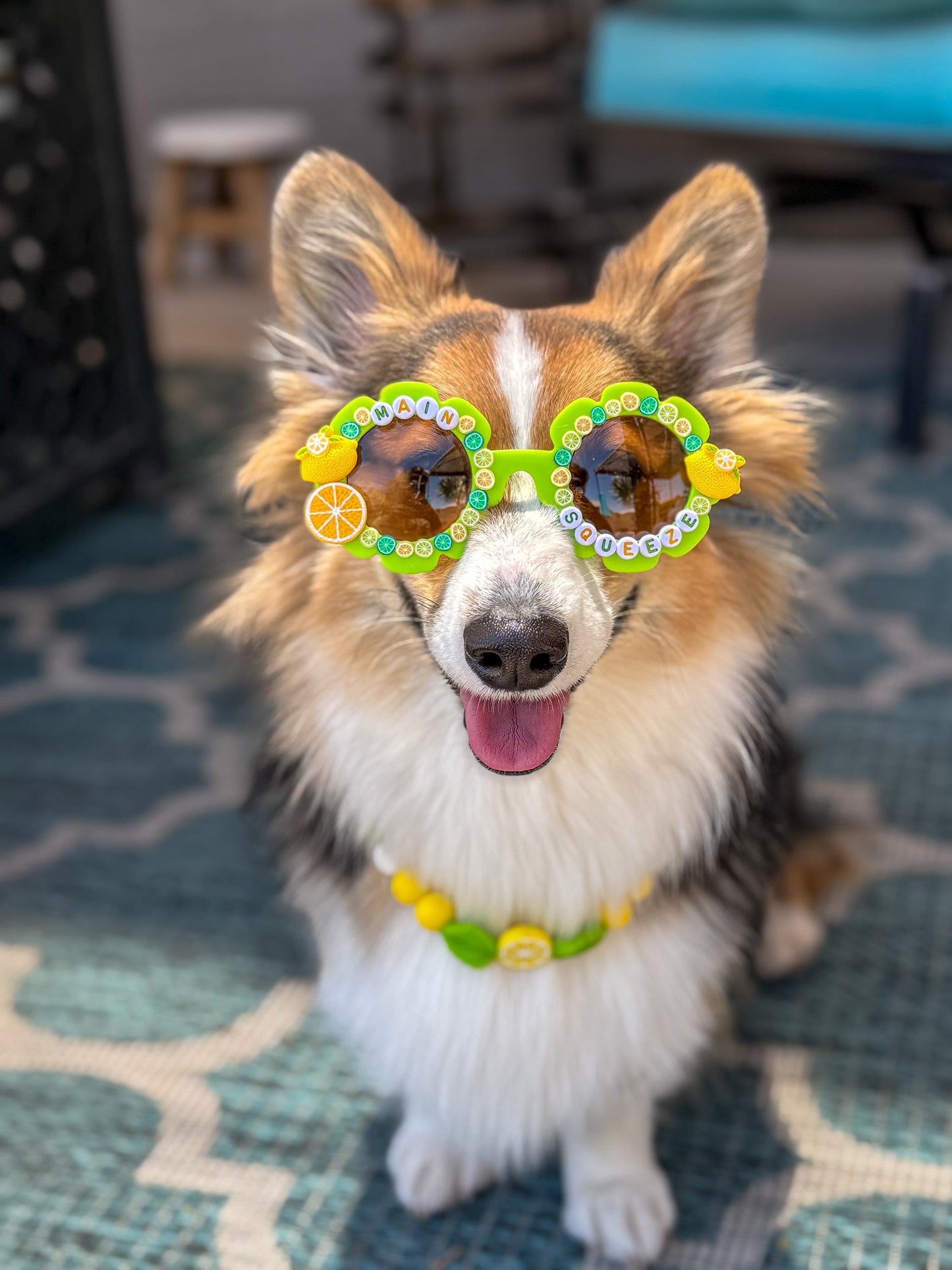Main Squeeze Sunglasses