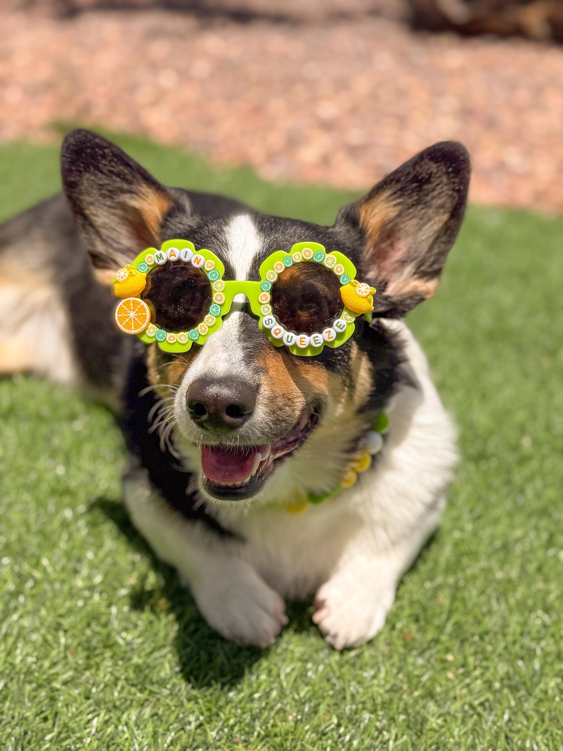 Main Squeeze Sunglasses