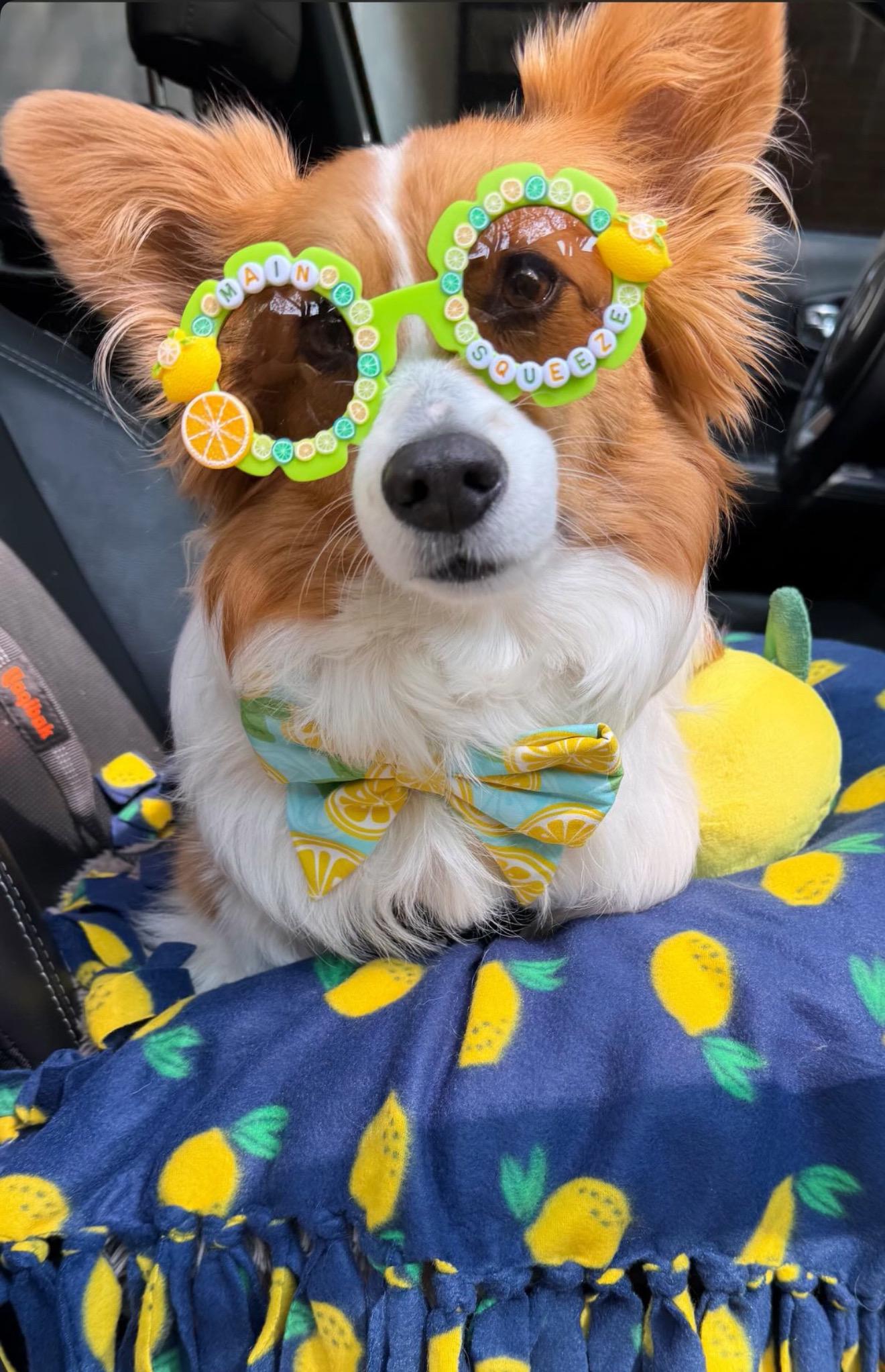 Main Squeeze Sunglasses