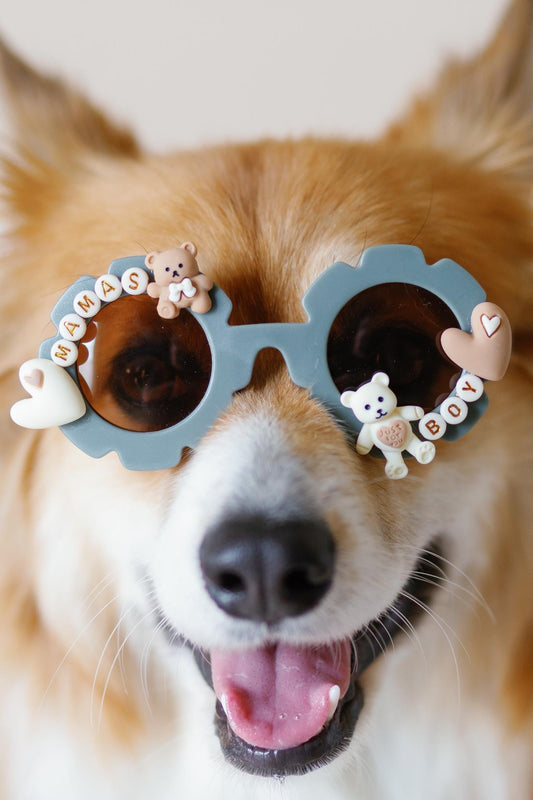 Mama’s Boy Dog Sunglasses