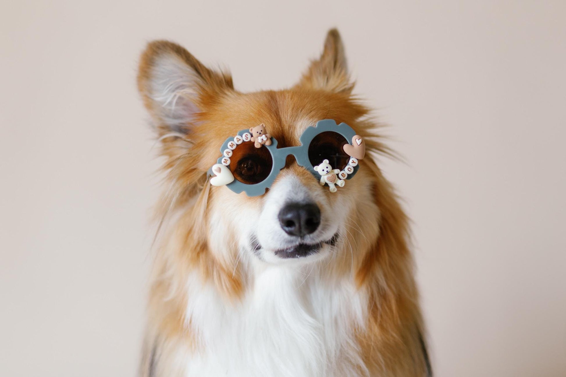 Mama’s Boy Dog Sunglasses