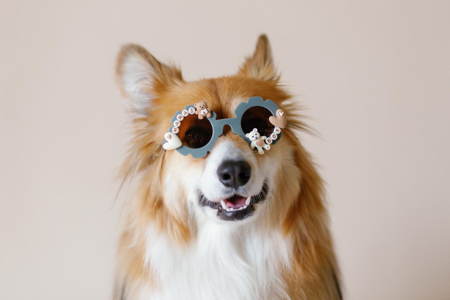 Mama’s Boy Dog Sunglasses