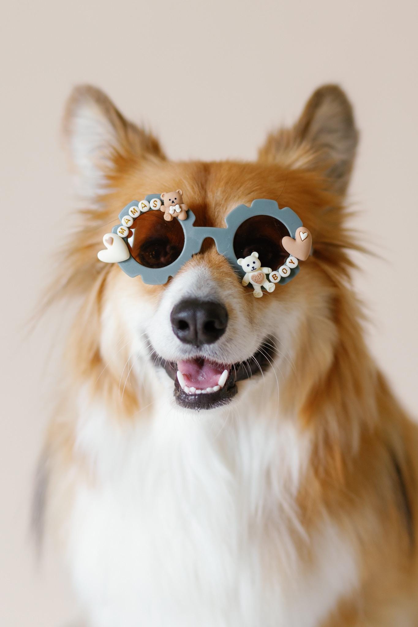 Mama’s Boy Dog Sunglasses