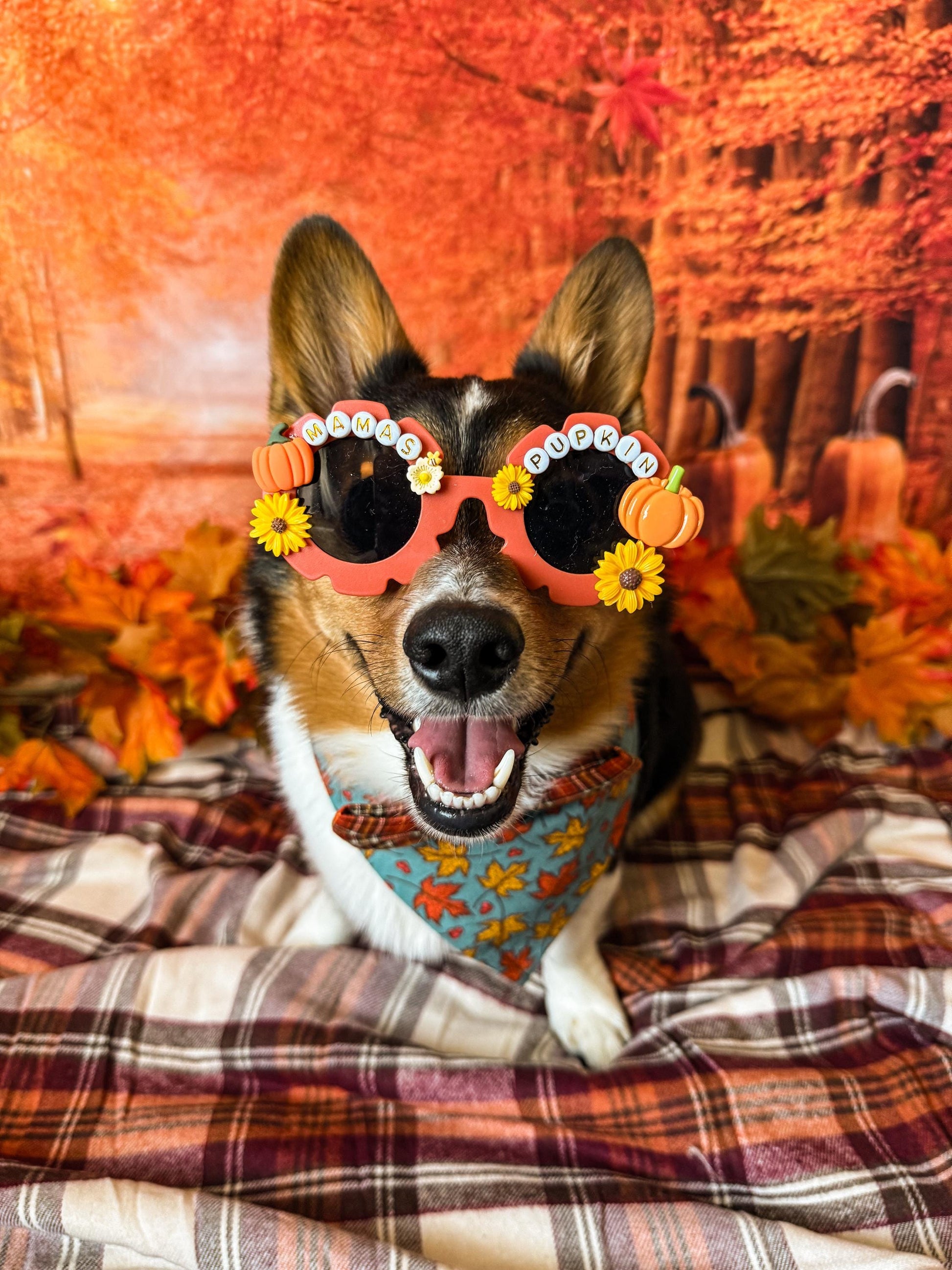 Mama’s Pupkin Sunglasses