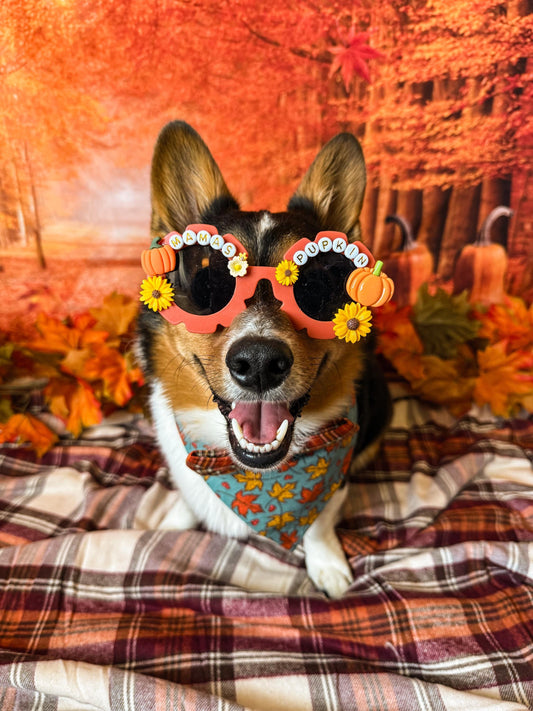 Mama’s Pupkin Sunglasses