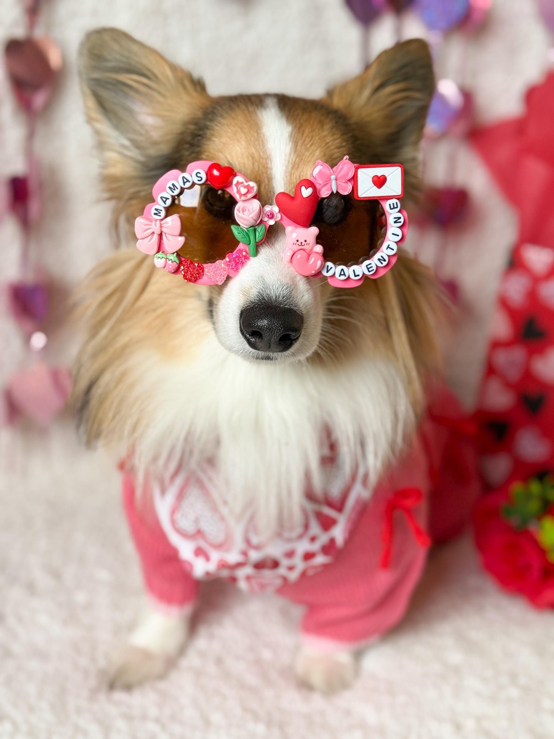 Mama’s Valentine- Blue & Pink Editons, Pet Sunglasses