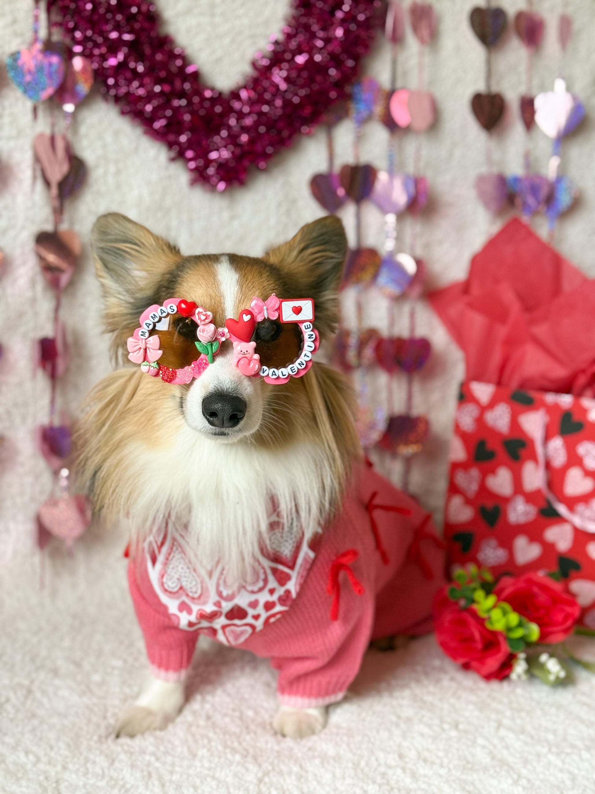 Mama’s Valentine- Blue & Pink Editons, Pet Sunglasses