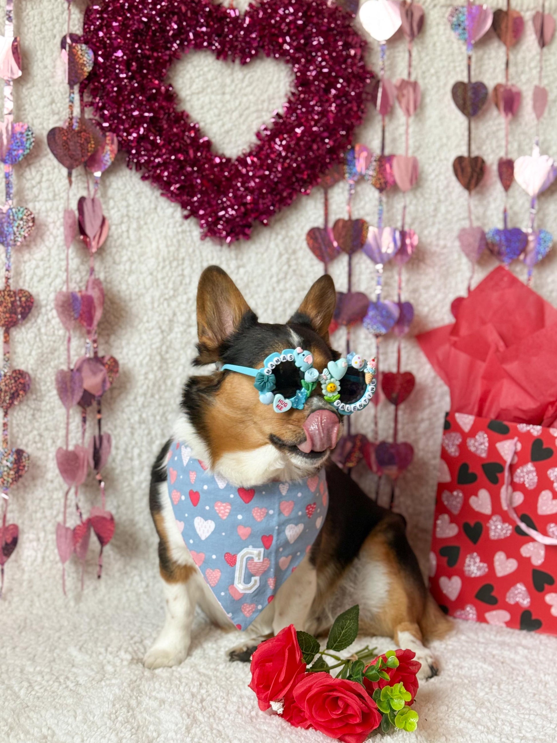 Mama’s Valentine- Blue & Pink Editons, Pet Sunglasses
