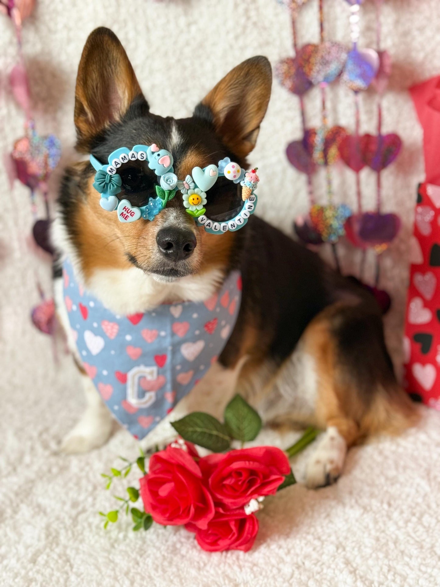 Mama’s Valentine- Blue & Pink Editons, Pet Sunglasses