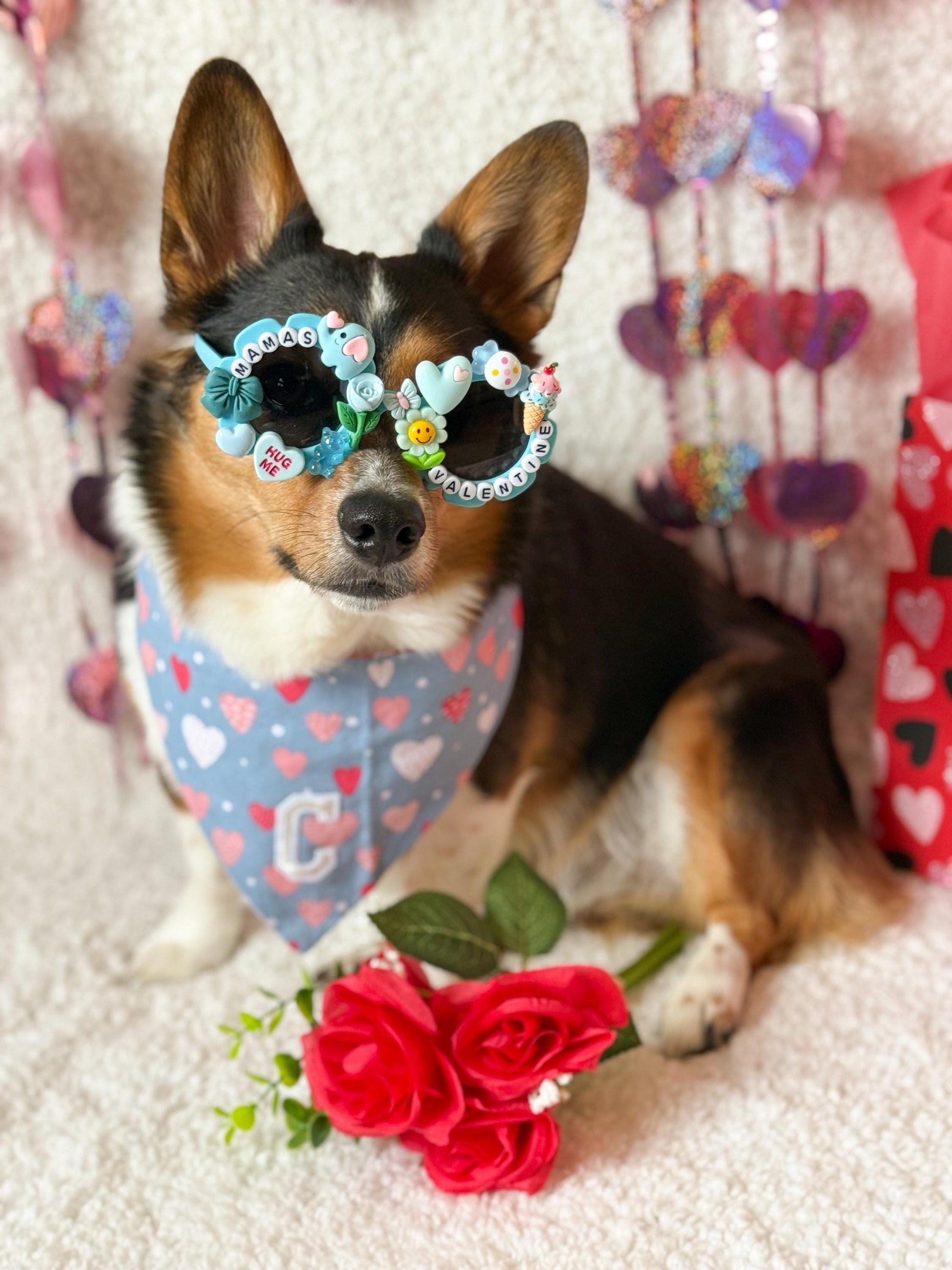 Mama’s Valentine- Blue & Pink Editons, Pet Sunglasses