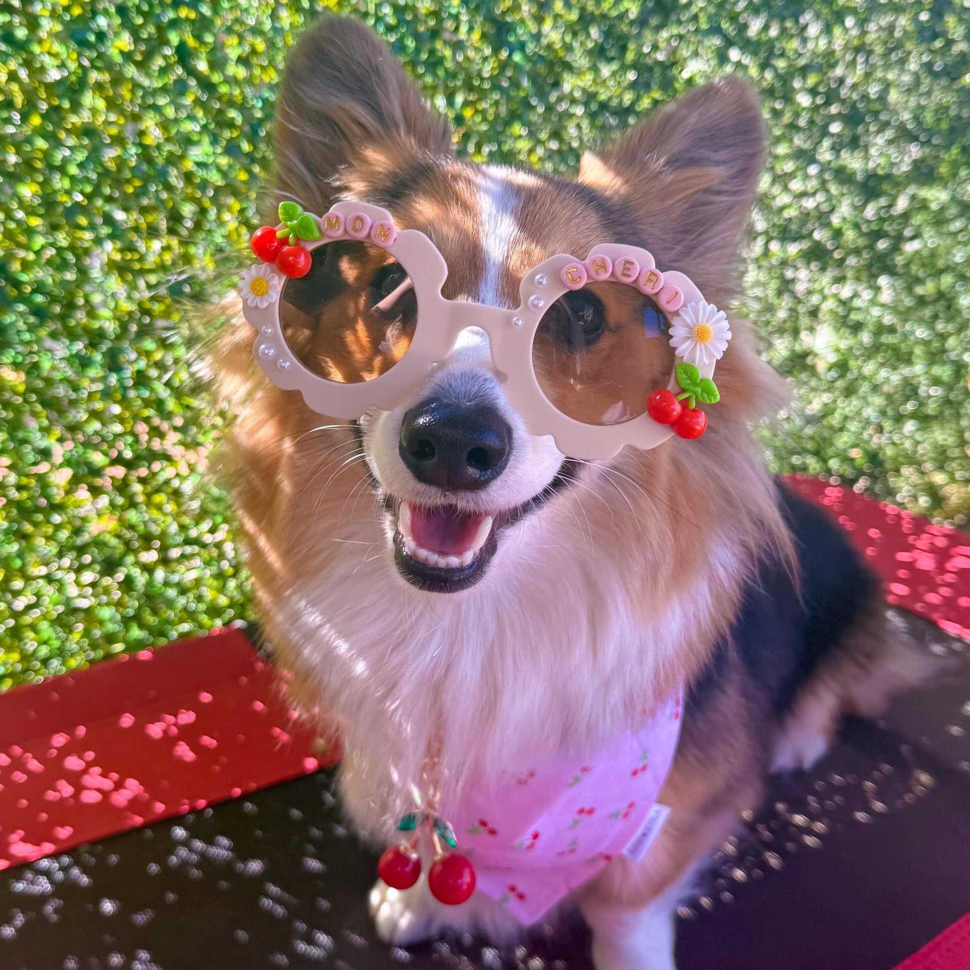 Mon Chéri Bloom-Dog Sunglasses