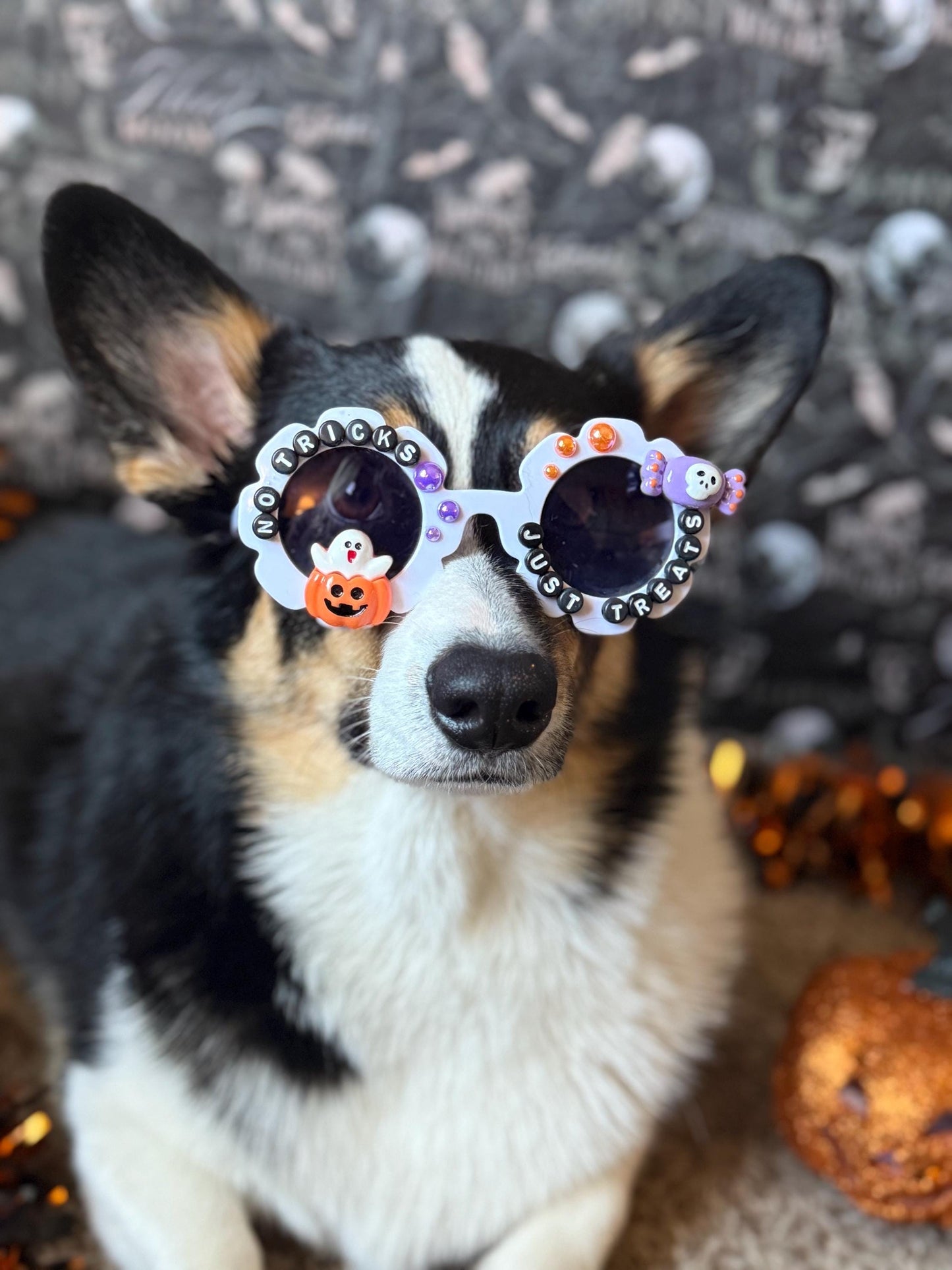 No Tricks, Just Treats Sunglasses