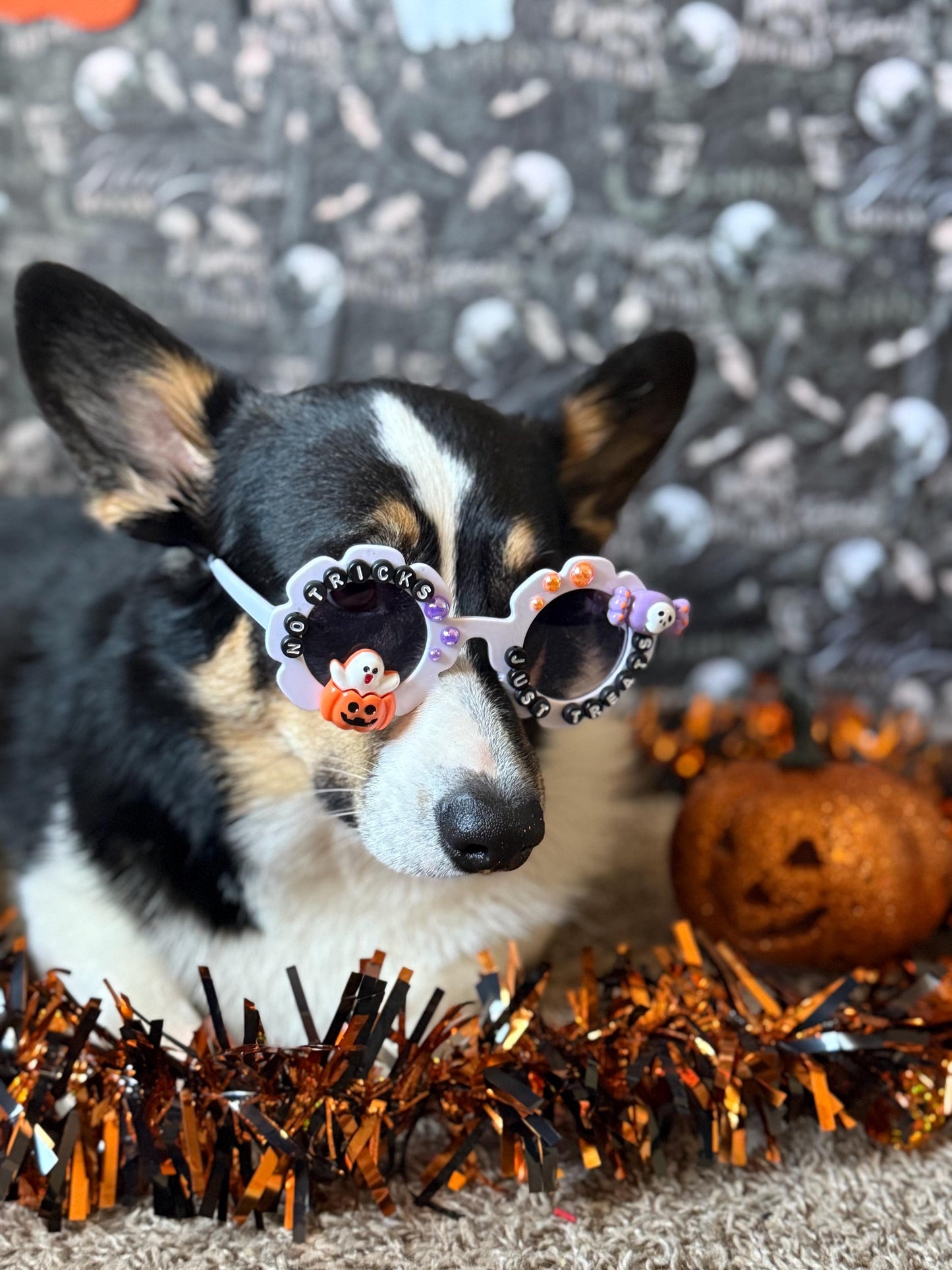 No Tricks, Just Treats Sunglasses