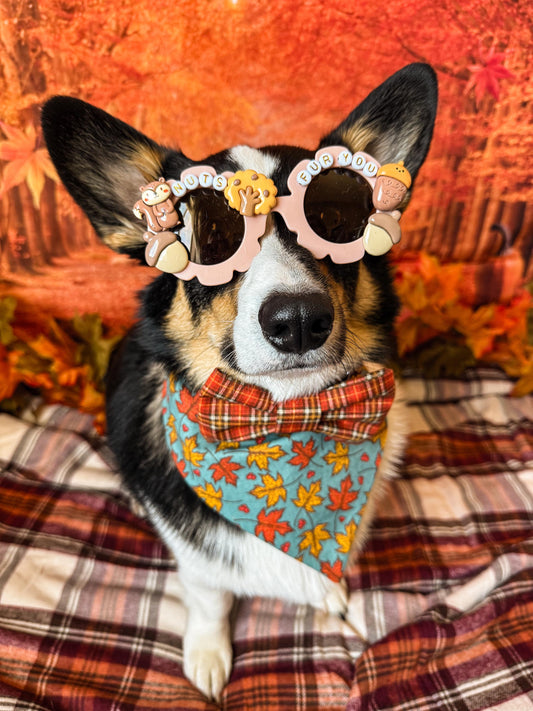 Nuts Fur You Sunglasses