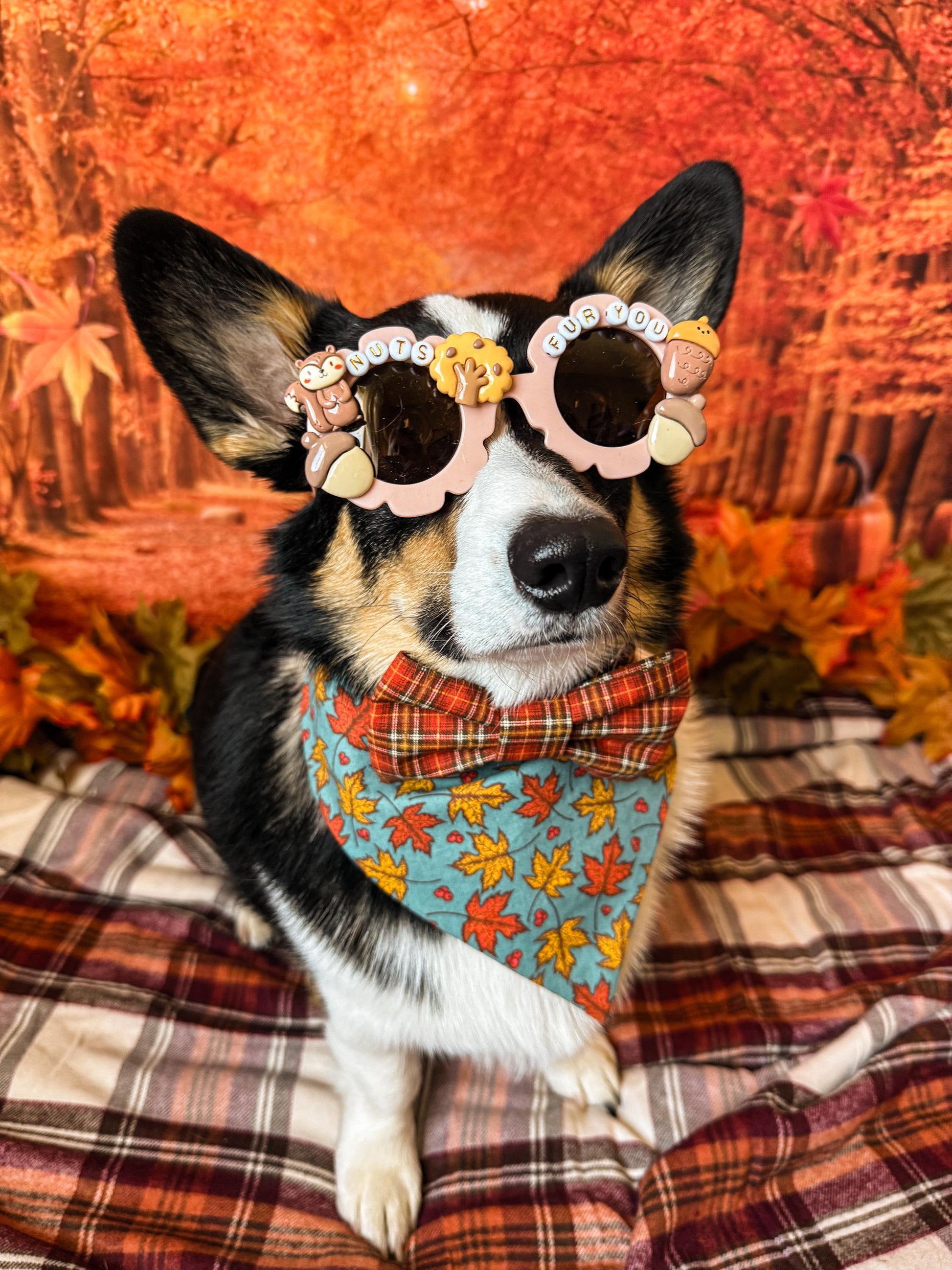 Nuts Fur You Sunglasses