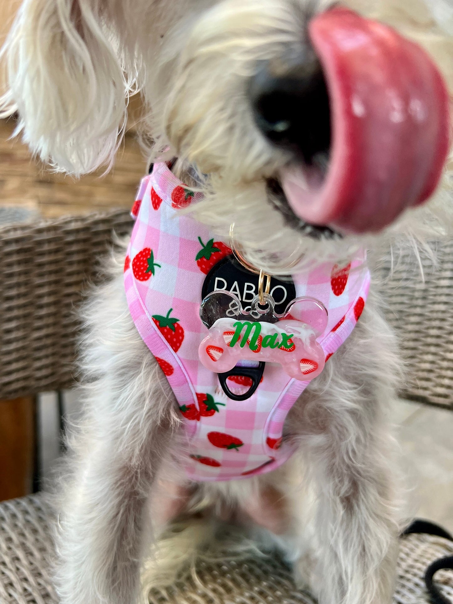 PINK DRINK Pet Tag