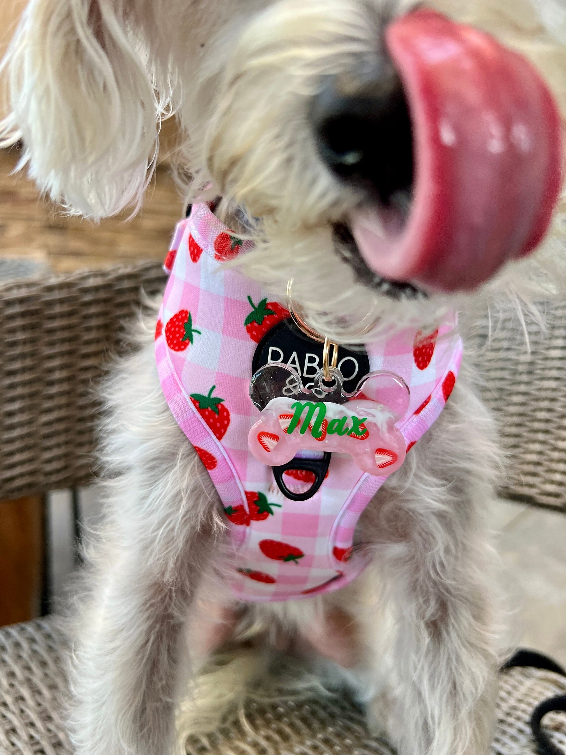 PINK DRINK Pet Tag