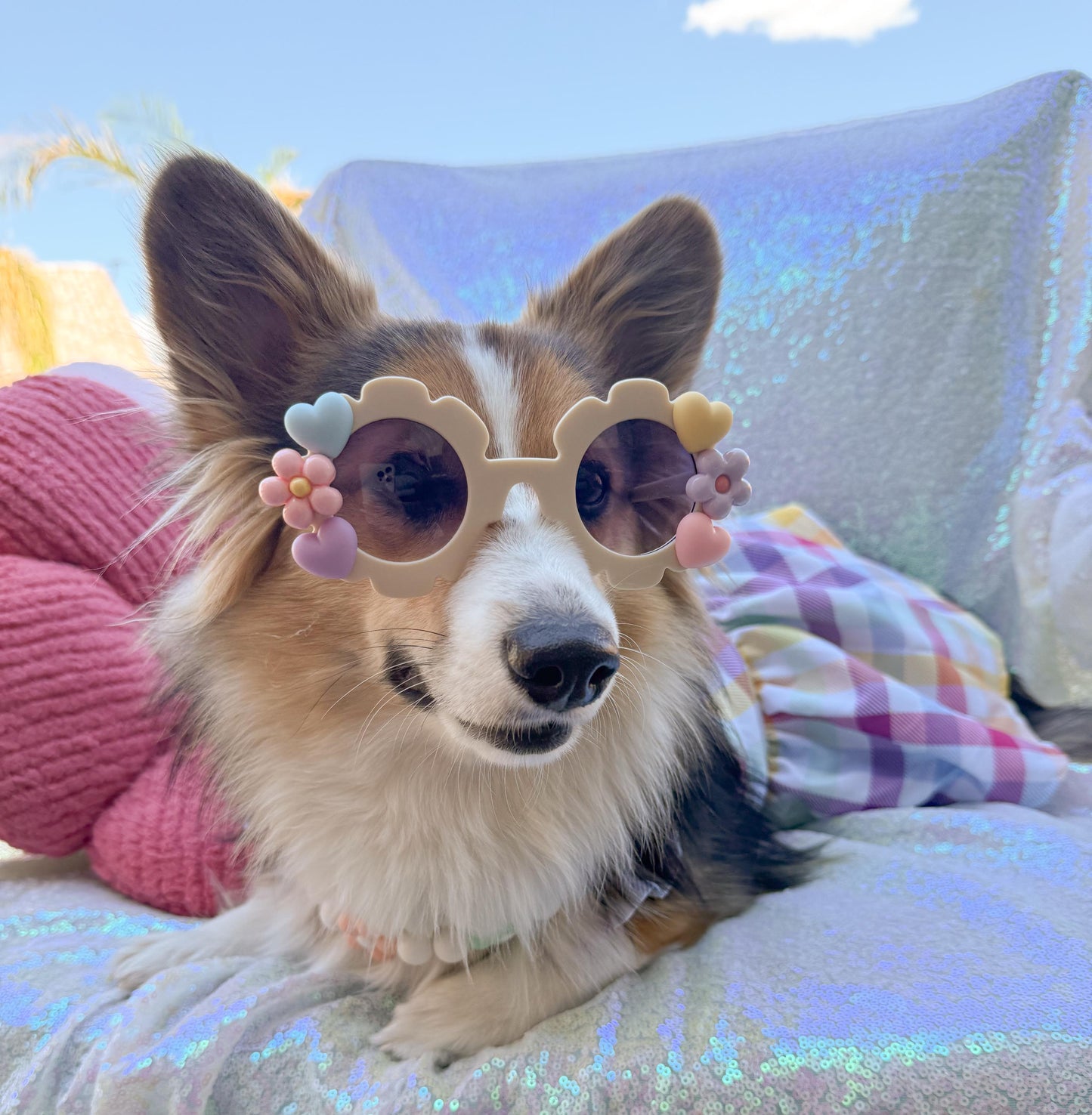 Pastel Girlie Sunglasses