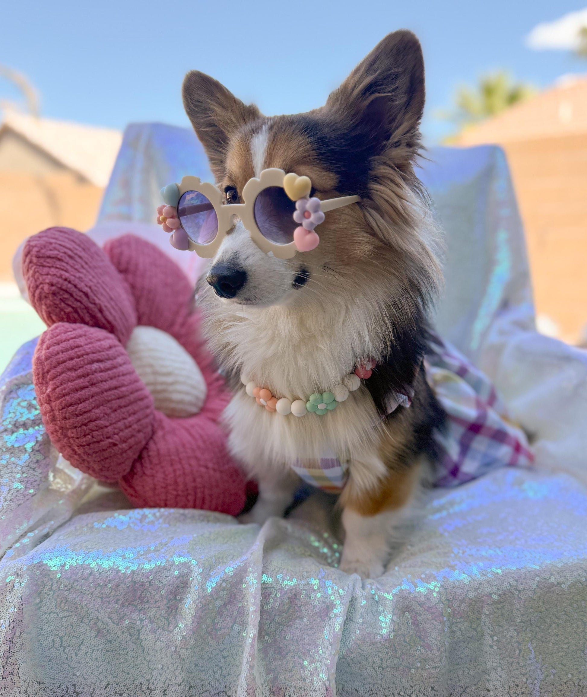 Pastel Girlie Sunglasses
