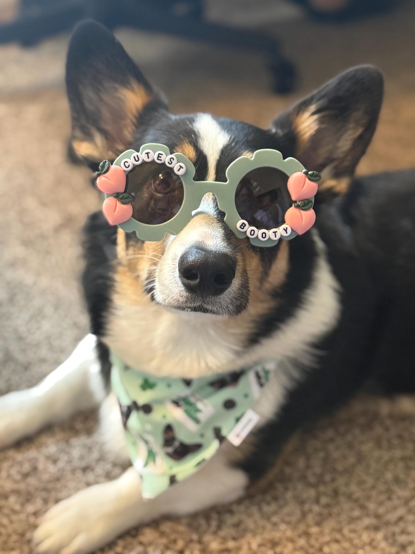 Peach Please Sunglasses