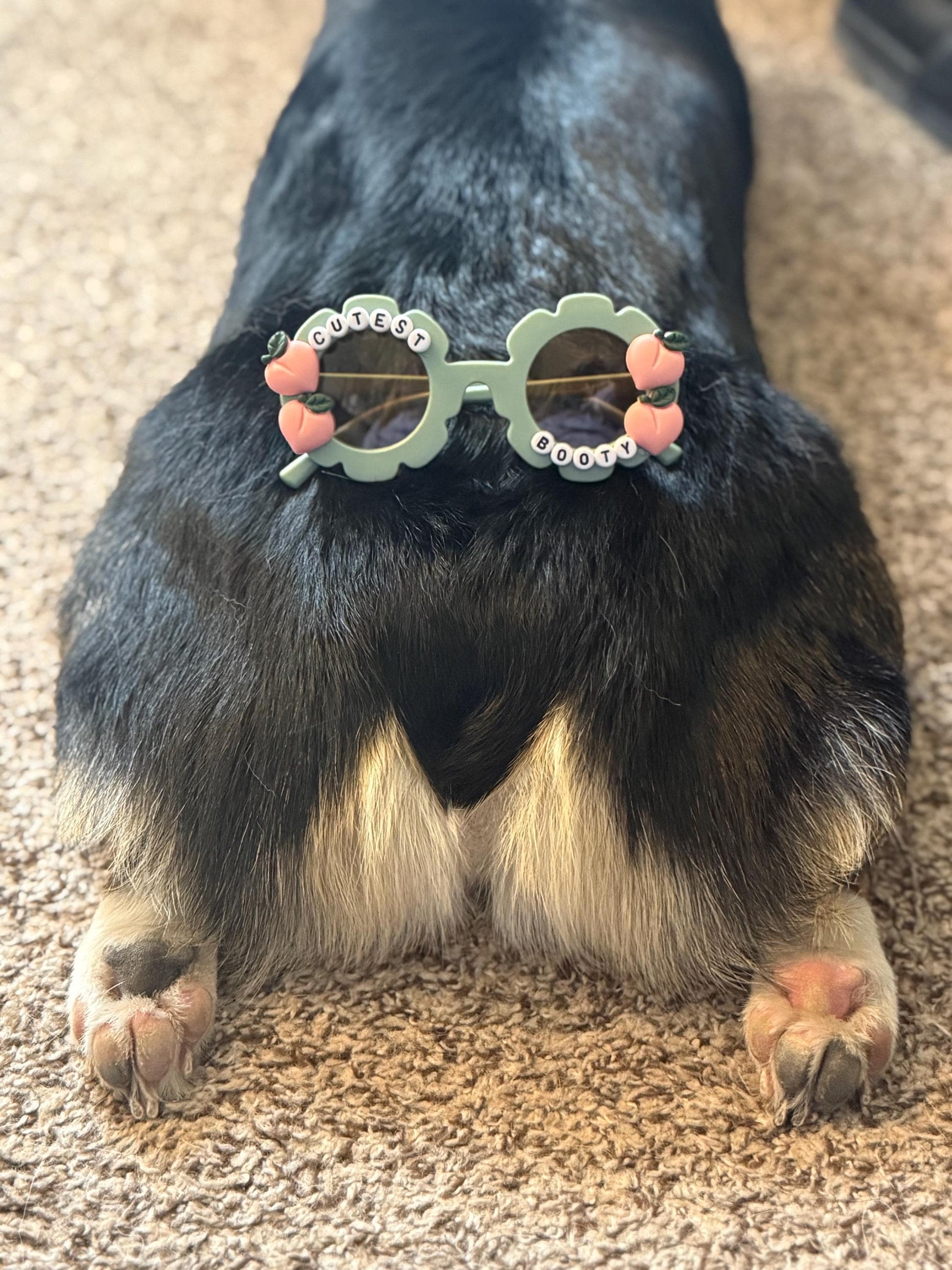 Peach Please Sunglasses