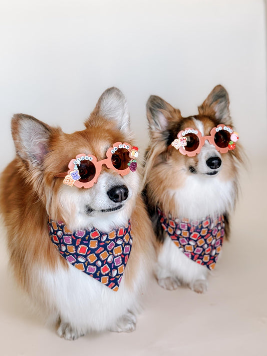 Peanut butter and Jelly Pet Sunglasses- 2 styles