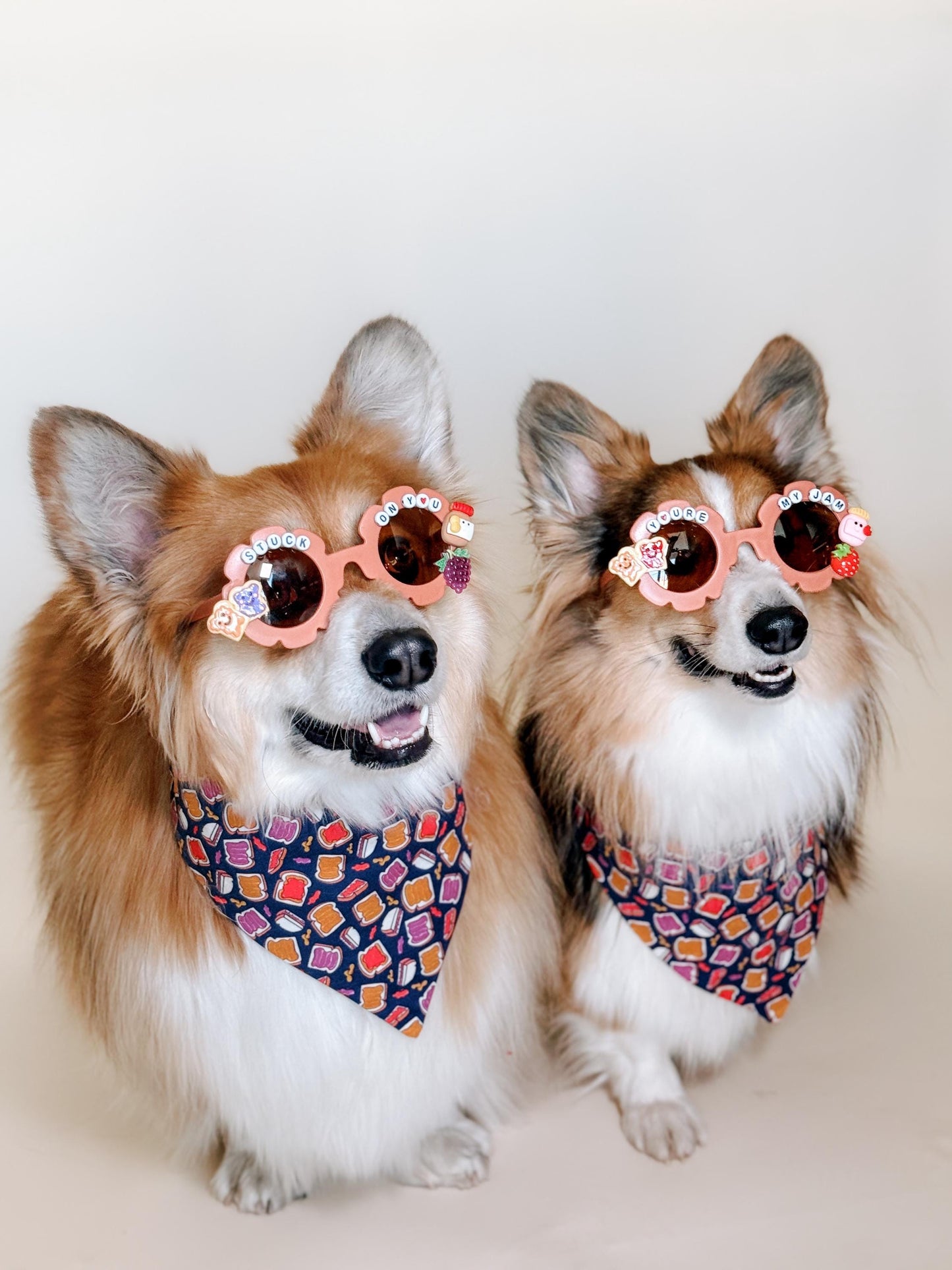 Peanut butter and Jelly Pet Sunglasses- 2 styles