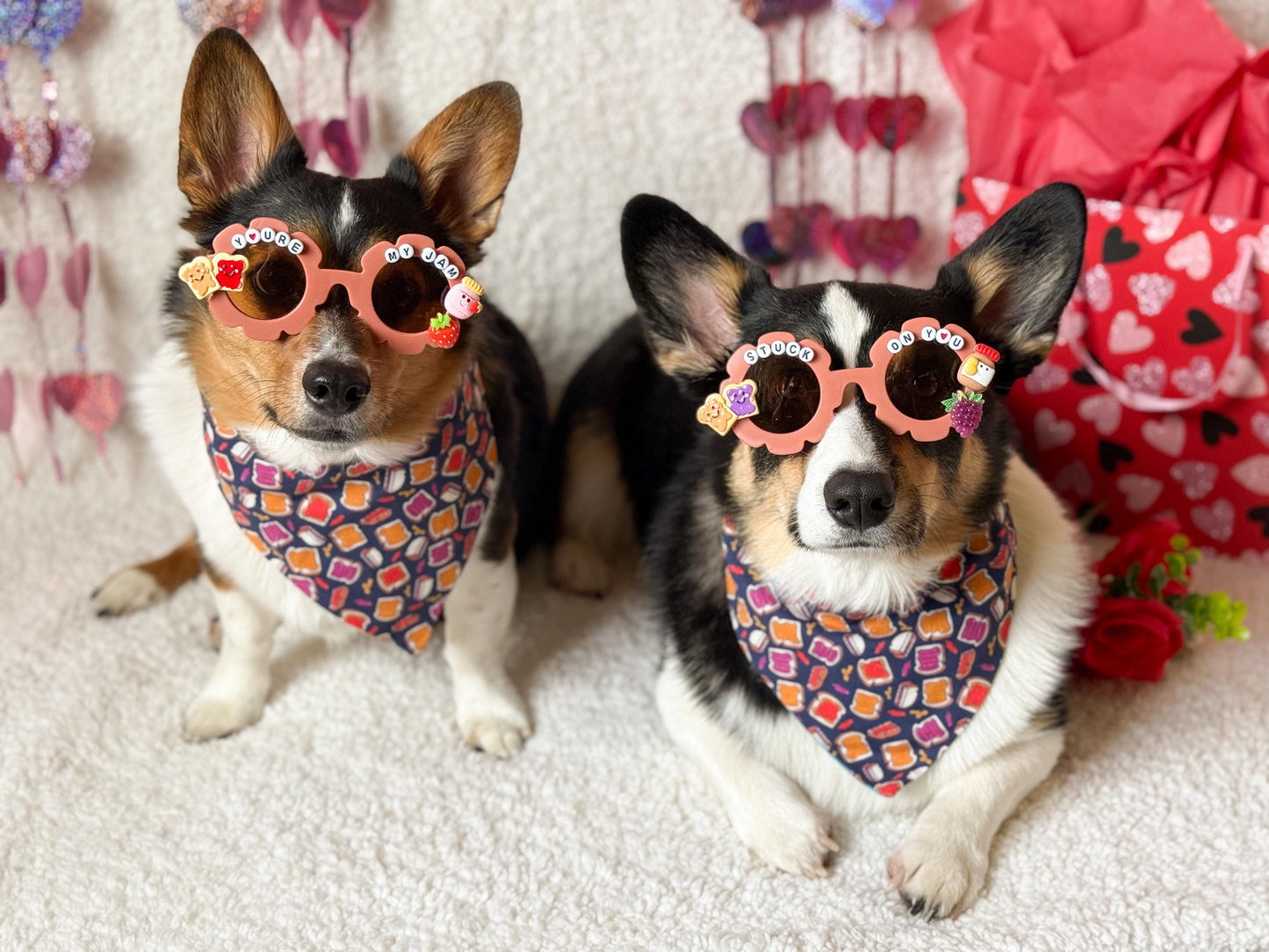 Peanut butter and Jelly Pet Sunglasses- 2 styles