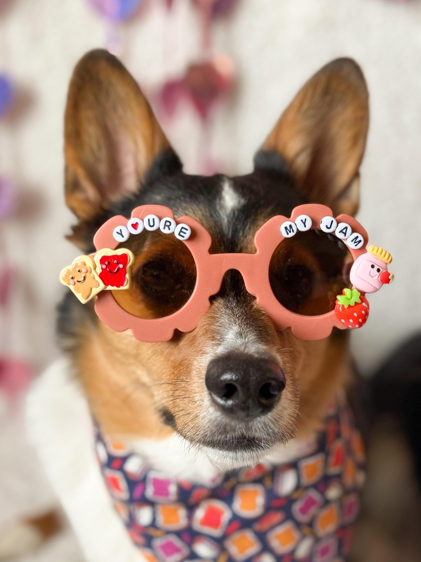 Peanut butter and Jelly Pet Sunglasses- 2 styles