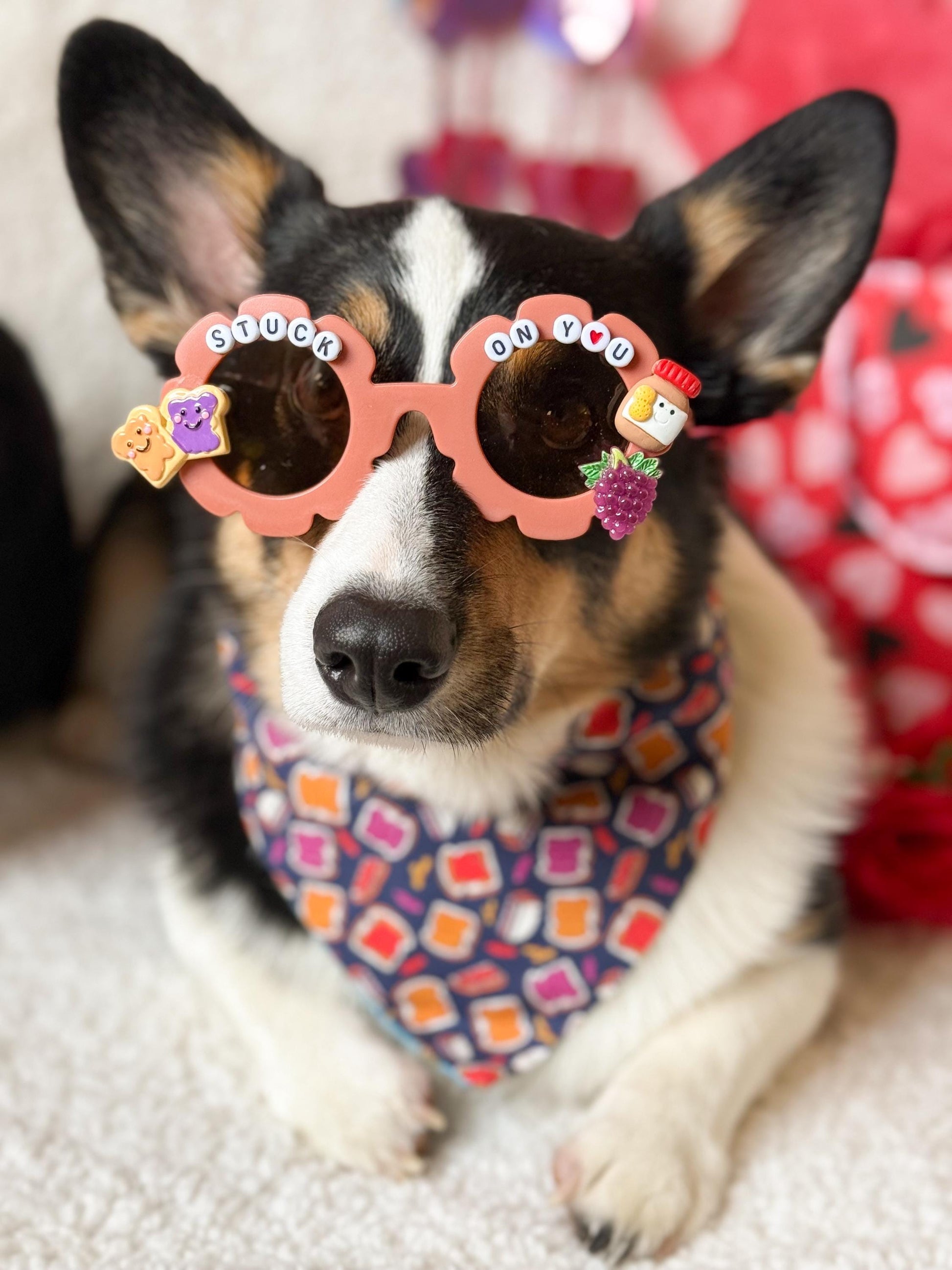 Peanut butter and Jelly Pet Sunglasses- 2 styles