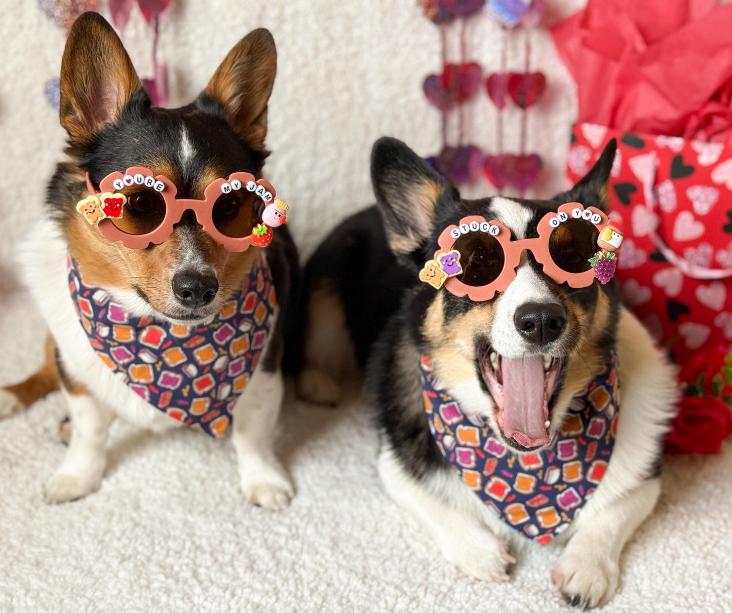 Peanut butter and Jelly Pet Sunglasses- 2 styles
